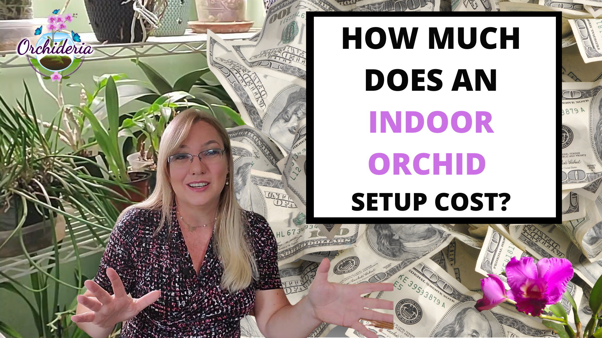 'Video thumbnail for Indoor Orchid Setup'