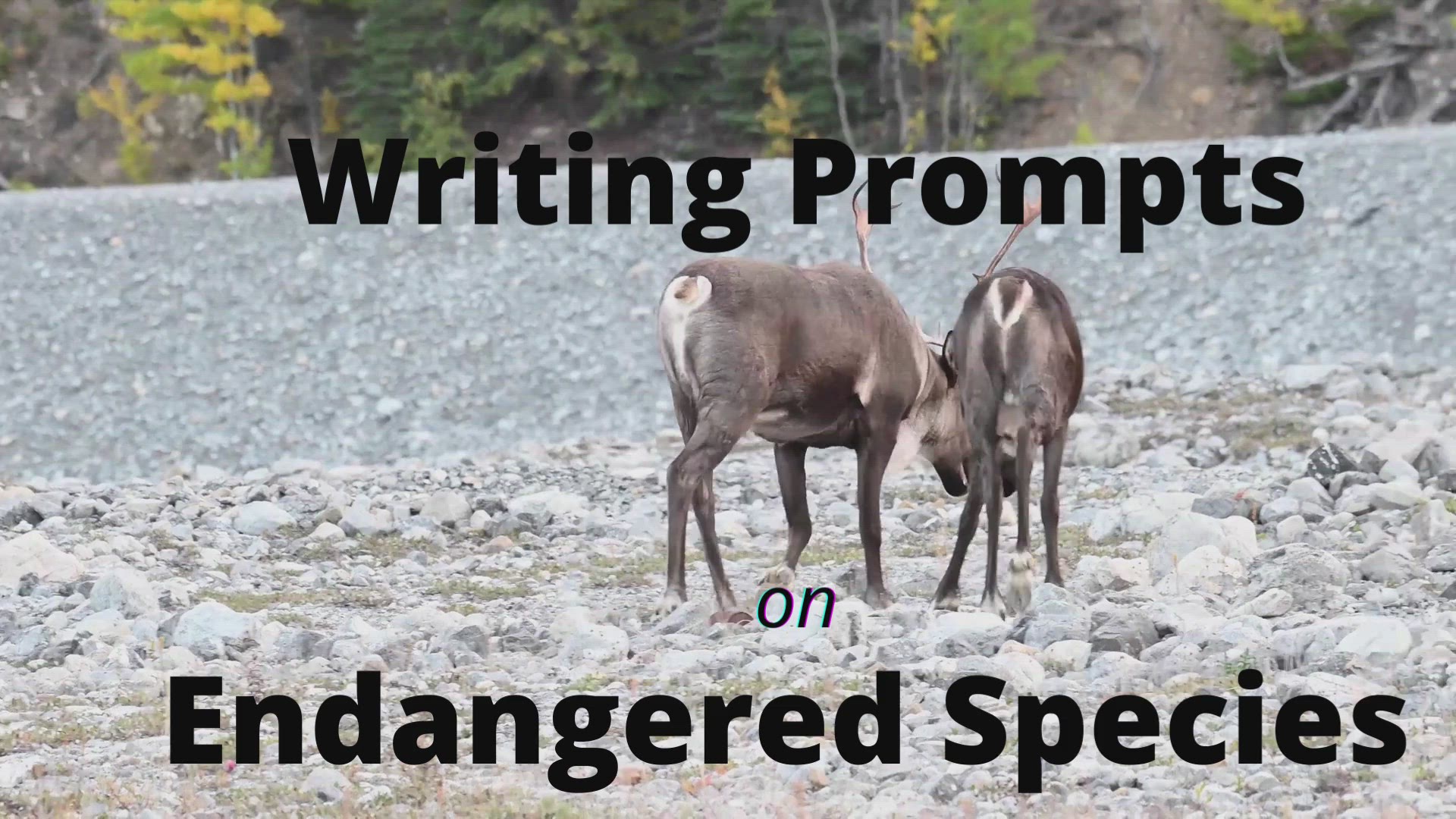 'Video thumbnail for Writing Prompts on Endangered Species'
