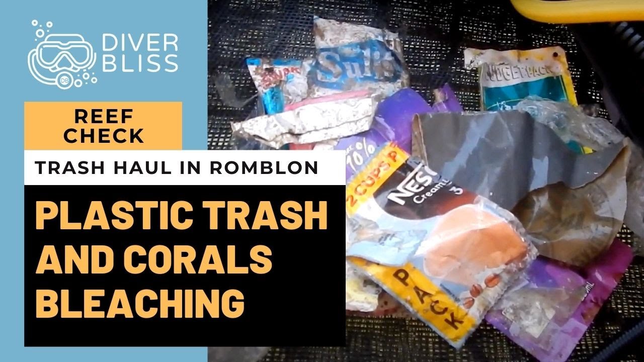 'Video thumbnail for Trash and Coral Bleaching while Scuba Diving in Romblon, Philippines- Basura Sa Bahura, Ep.1'