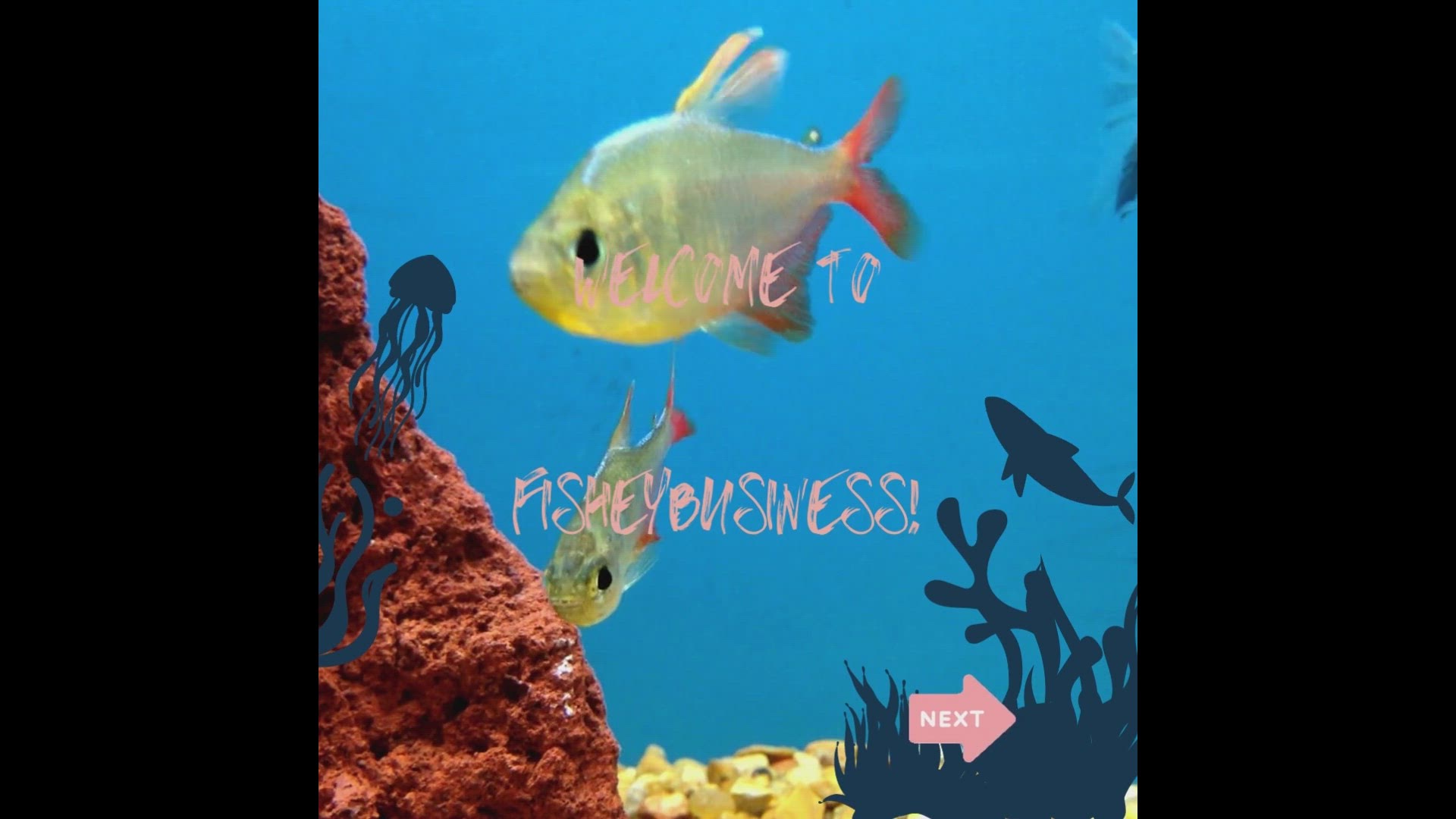 'Video thumbnail for FisheyBusiness Intro'
