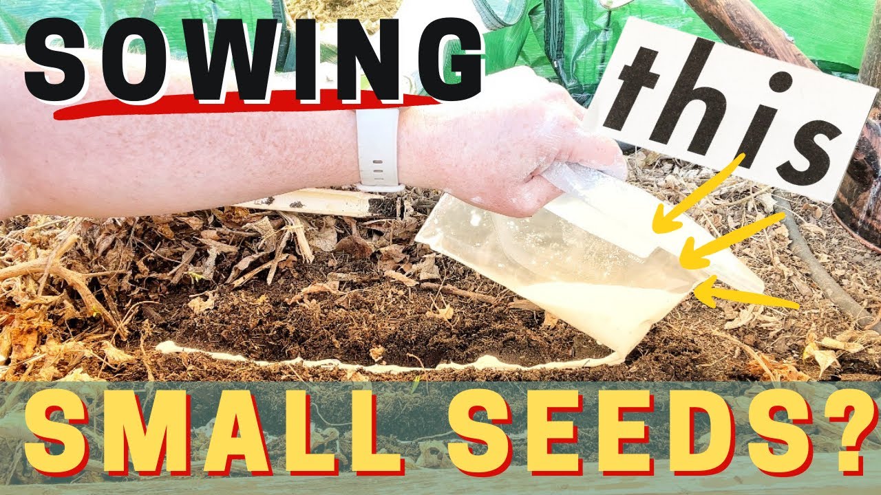 'Video thumbnail for Liquid Sowing For Small Seeds. STOP Thinning Lettuce & Carrot Seedling With This Method Of Sowing/'