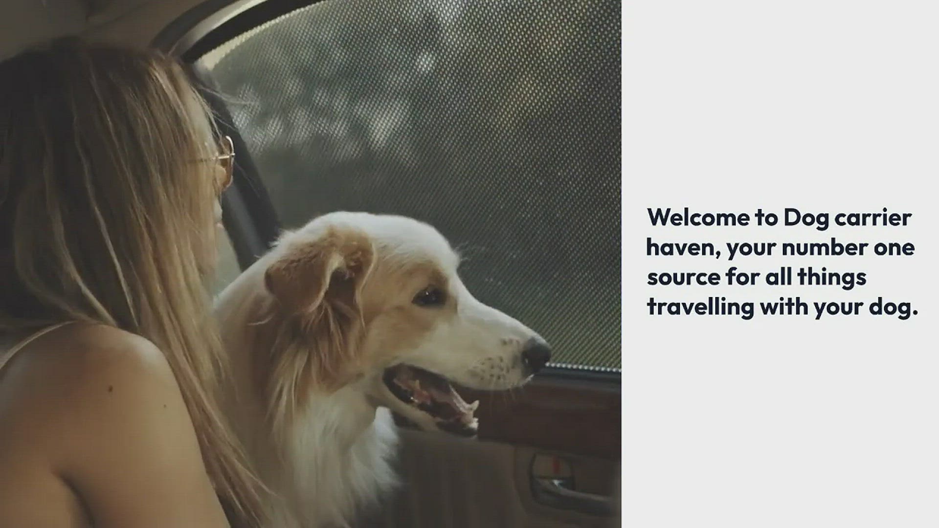 'Video thumbnail for Dog Carrier Haven Welcome Video'