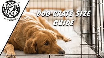 'Video thumbnail for How To Choose The Right Dog Crate Size? | Dog Tips | BestWoof'