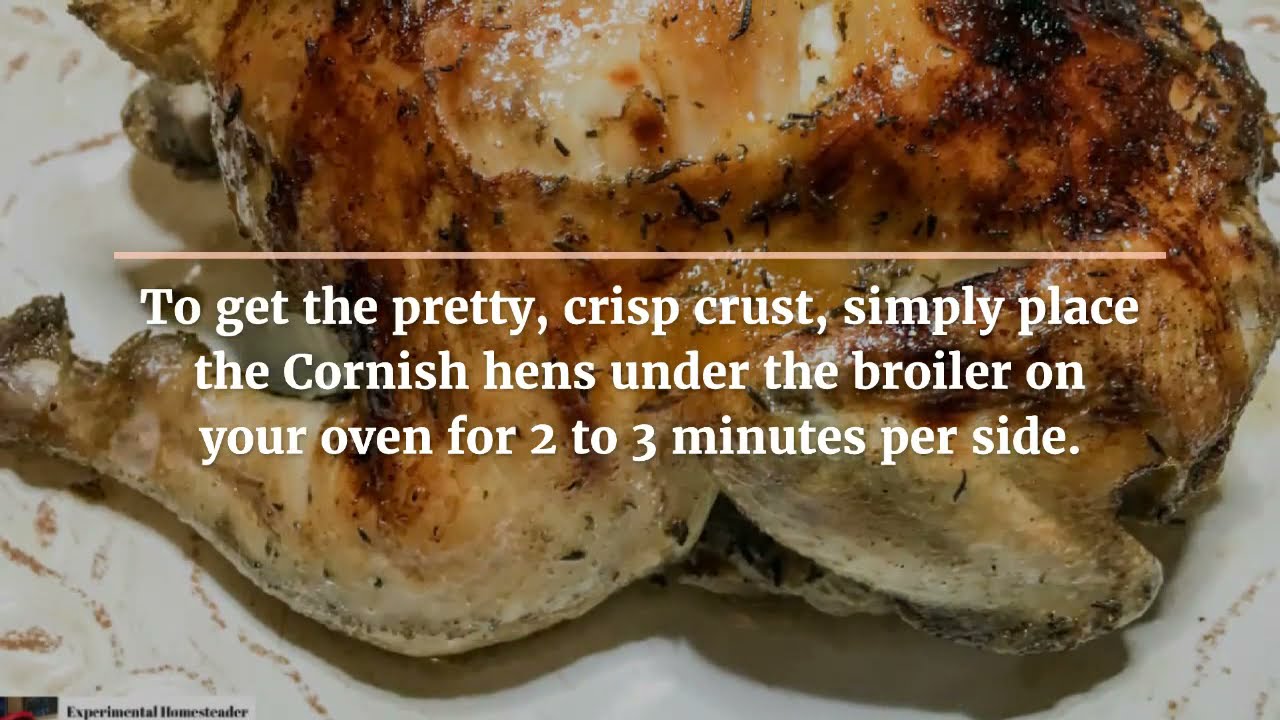 'Video thumbnail for Sous Vide Cornish Hen Recipe'