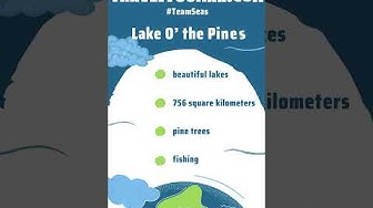 'Video thumbnail for Biggest Lakes In Texas - Lake O’ the Pines'