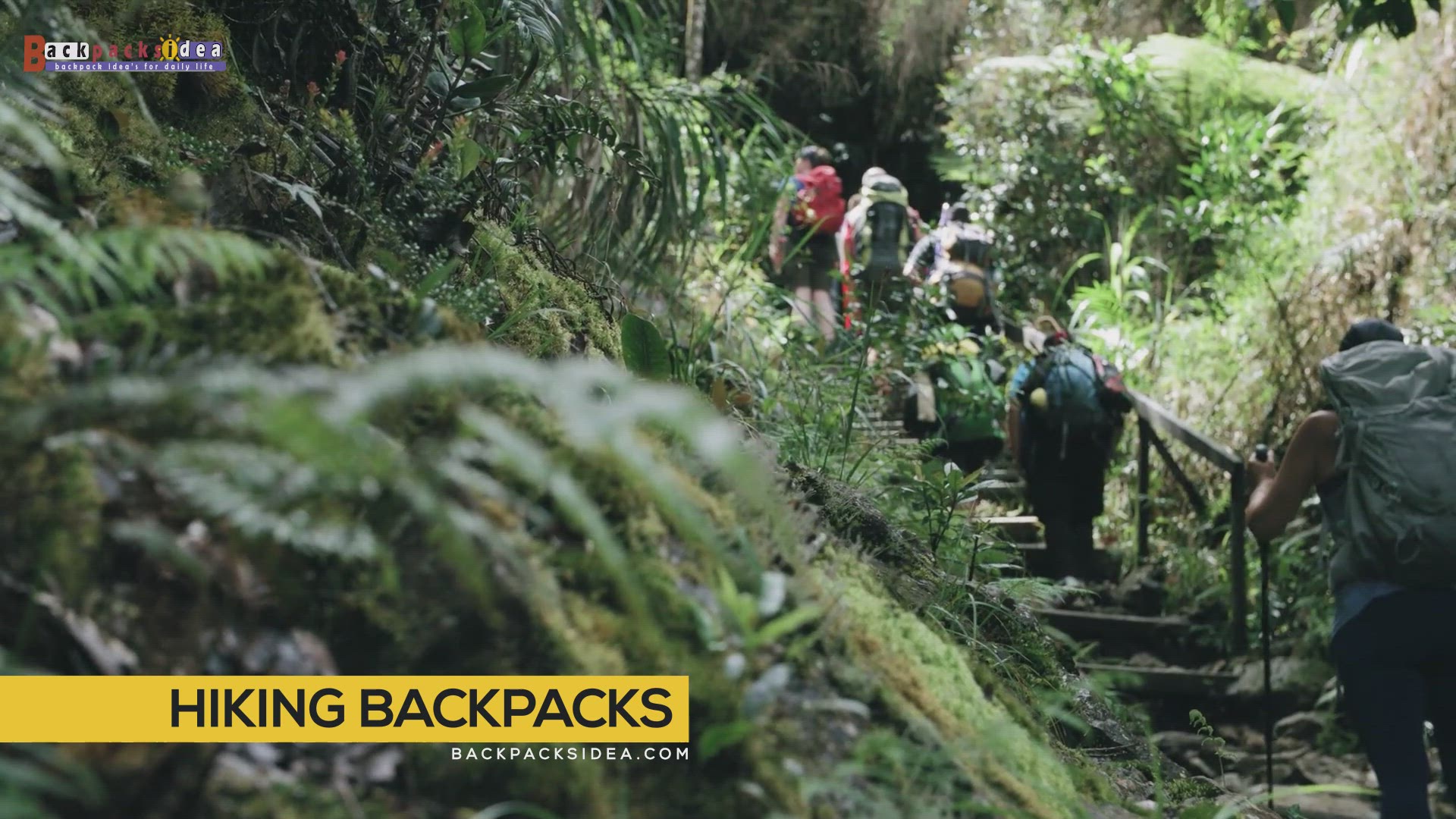 'Video thumbnail for backpacks for your every adventure trip'