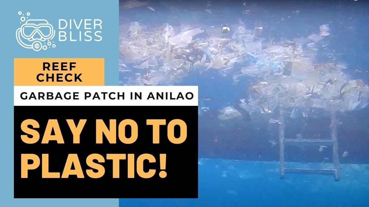 'Video thumbnail for Ocean Plastic and Trash Patch while scuba diving in Daryl Laut,  Anilao, Batangas, Philippines'