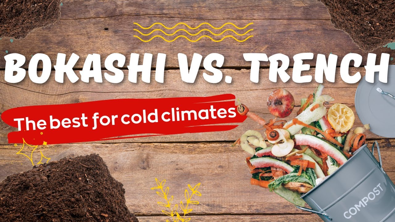 'Video thumbnail for Bokashi Vs. Trench Composting. Which Type Of Composting Is BETTER Bokashi or Trench For Canada?!'