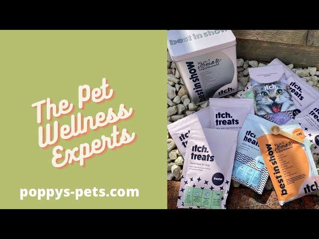 'Video thumbnail for Pet Wellness UK_ Calm Your Cat. No Grain Dog & Puppy Treats. Dog Treats for Intolerances'