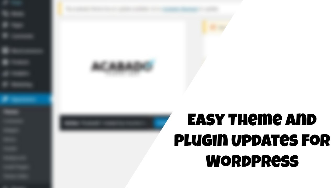 'Video thumbnail for Easy Theme and Plugin Updates For WordPress'