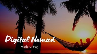 'Video thumbnail for How To Be A Digital Nomad With A Dog'