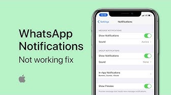 'Video thumbnail for WhatsApp Notifications Disabled or Not Working on iPhone Fix'