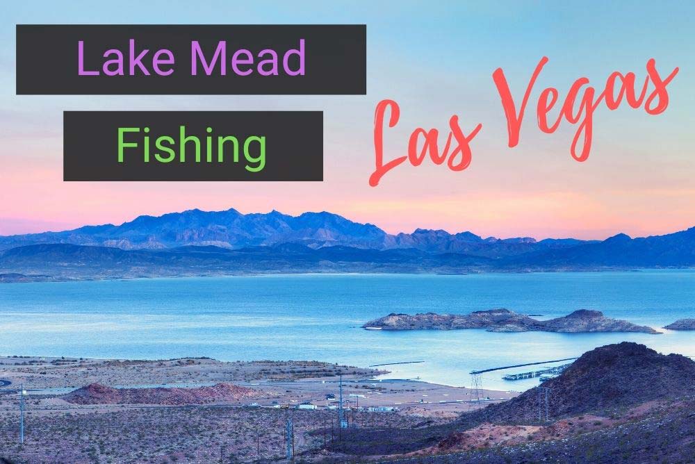 'Video thumbnail for Fishing at Lake Mead Near Las Vegas, Nevada'