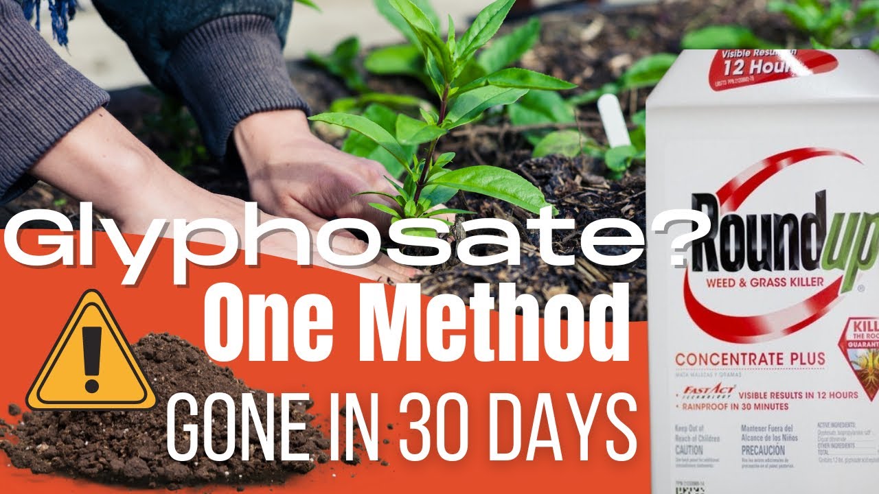 'Video thumbnail for How Long Does Glyphosate Stay In Garden Soil? How To Remove Glyphosate From Soil? | Science Explains'