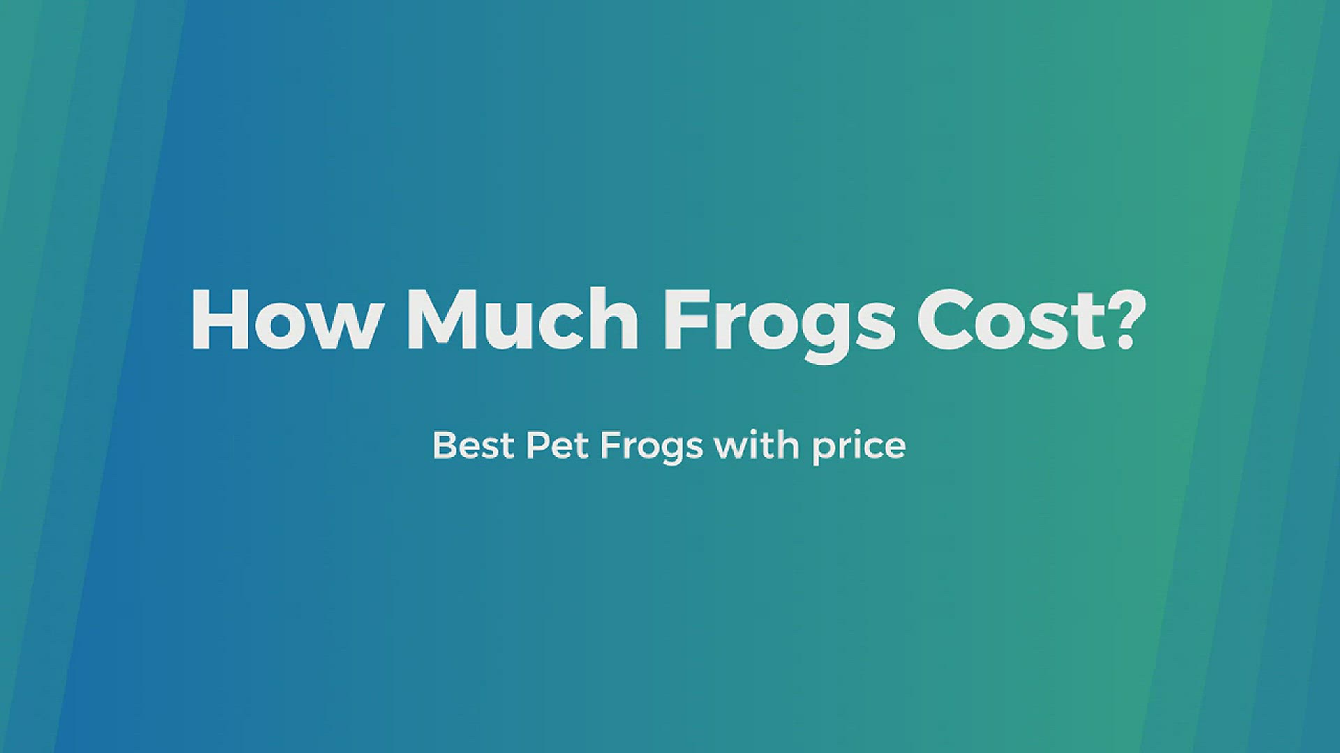 'Video thumbnail for Wondering How much frogs cost?'