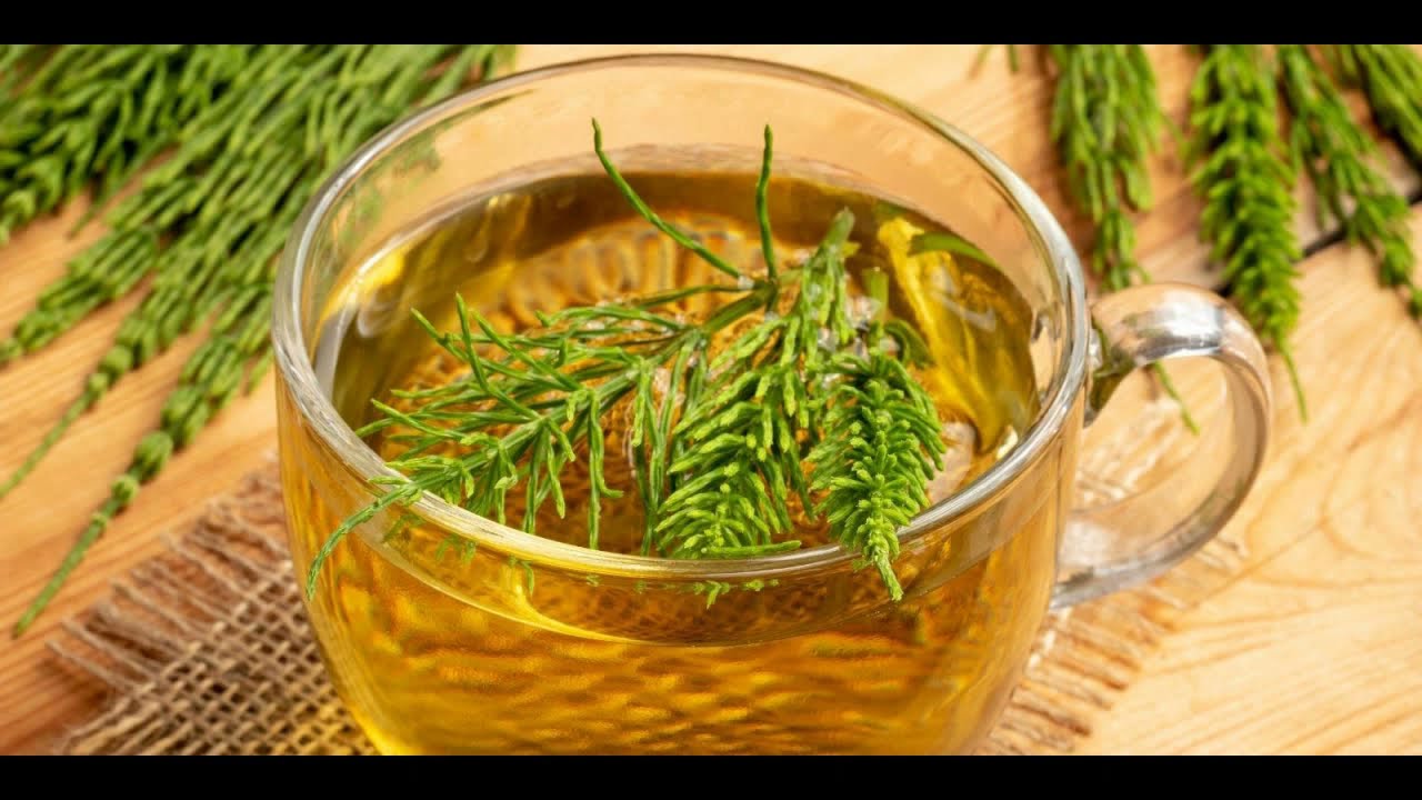 'Video thumbnail for Horsetail Tea, Super 6 Benefits of This Beverage'