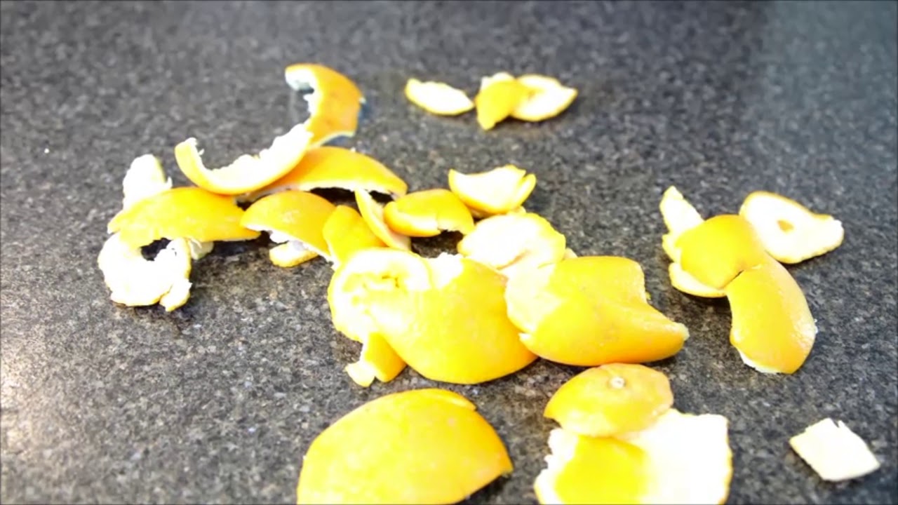 'Video thumbnail for Orange Peels For Gardening'