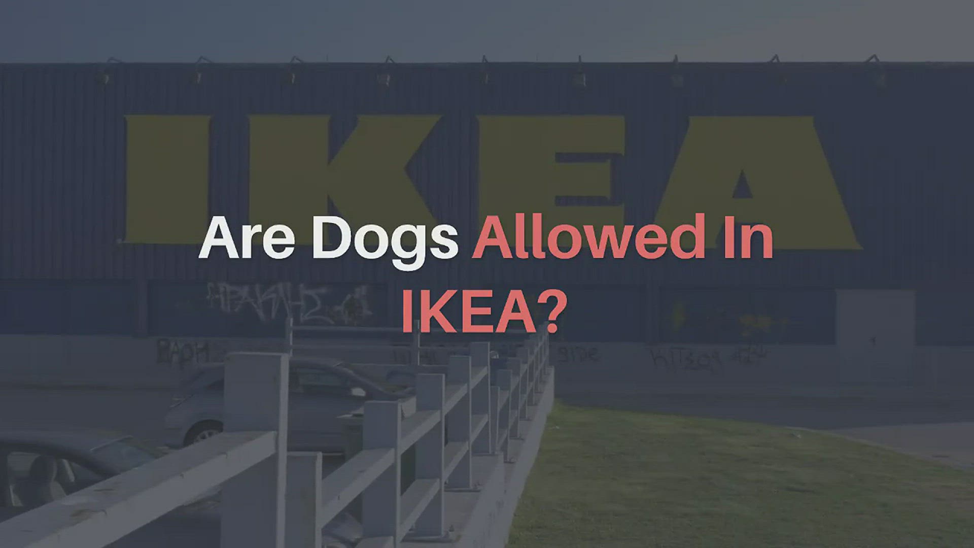 are dogs allowed in ikea london