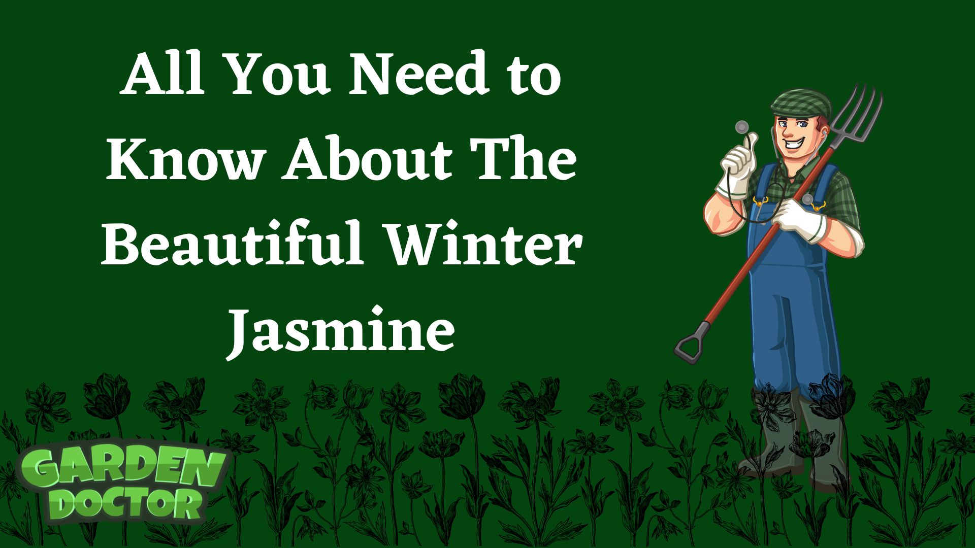 Are Ants Attracted To Dog Poop