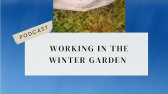 'Video thumbnail for Working In The Winter Garden Podcast'