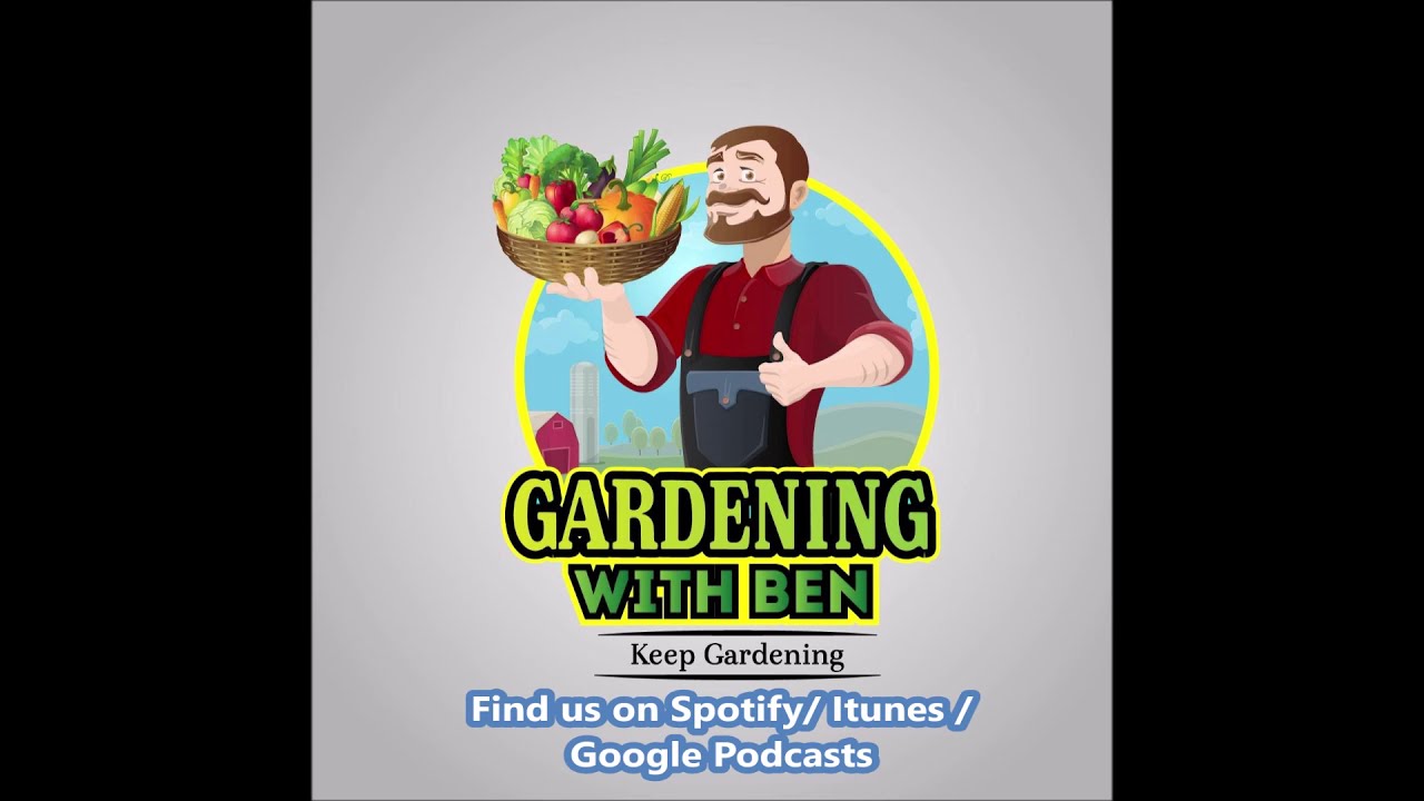 'Video thumbnail for Gardening Podcast 1:- Who is Gardening with Ben and how I got into gardening.'