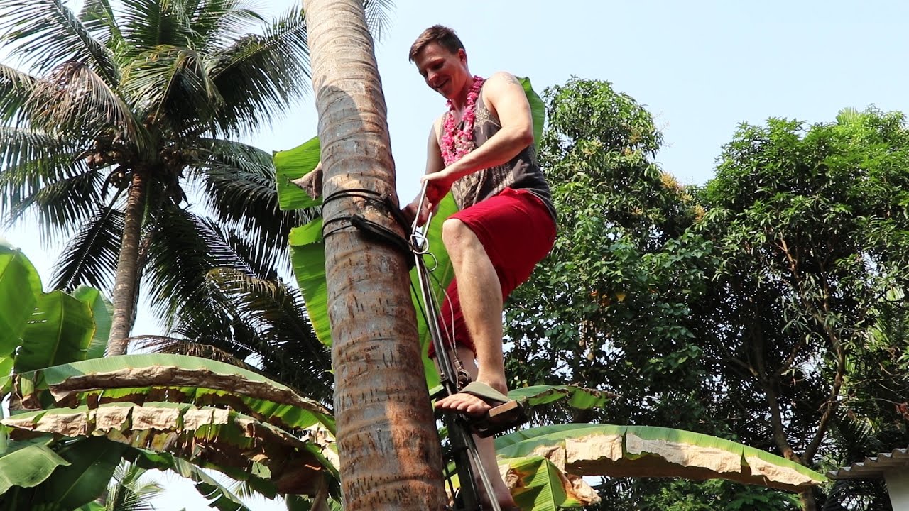 'Video thumbnail for STUCK CLIMBING A COCONUT TREE - Kerala Vlog'