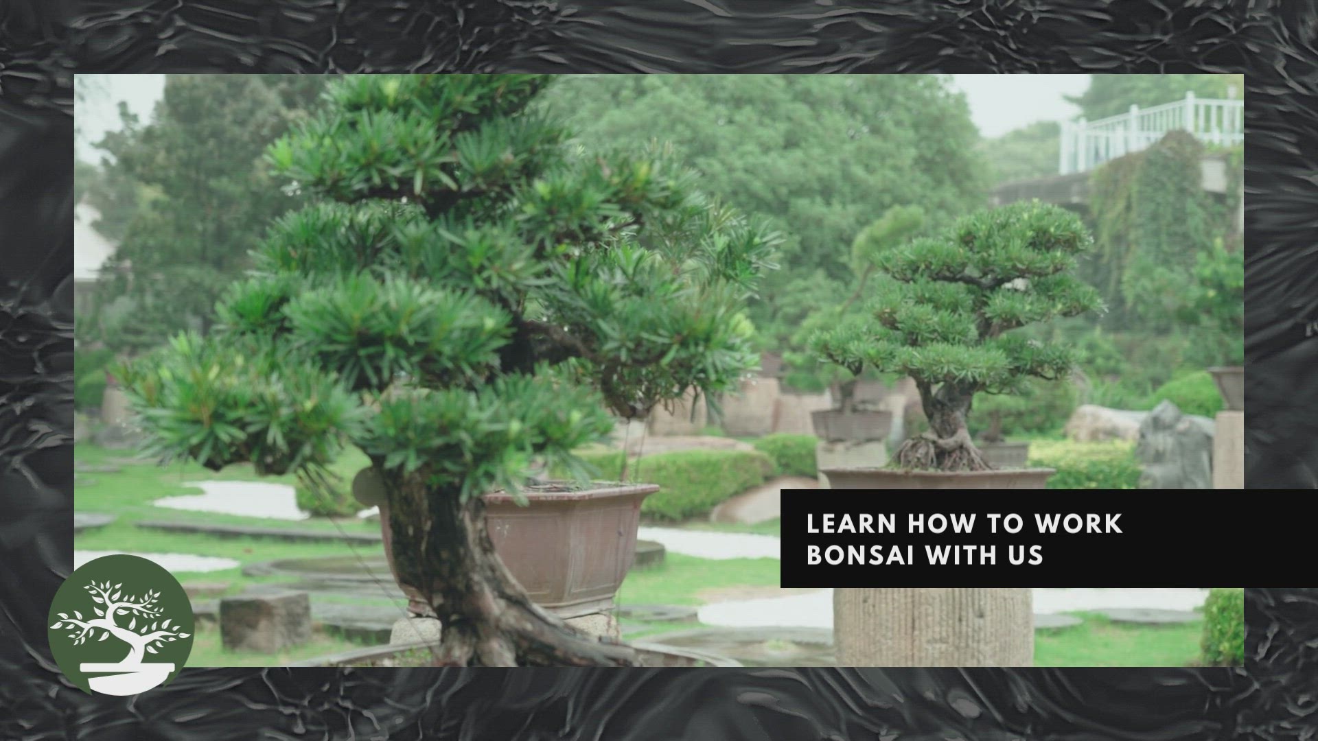'Video thumbnail for Bonsai Hobby Is Amazing 2'