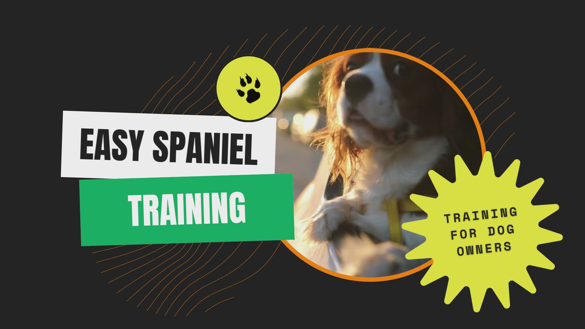 'Video thumbnail for Easy Spaniel Training Video 3'