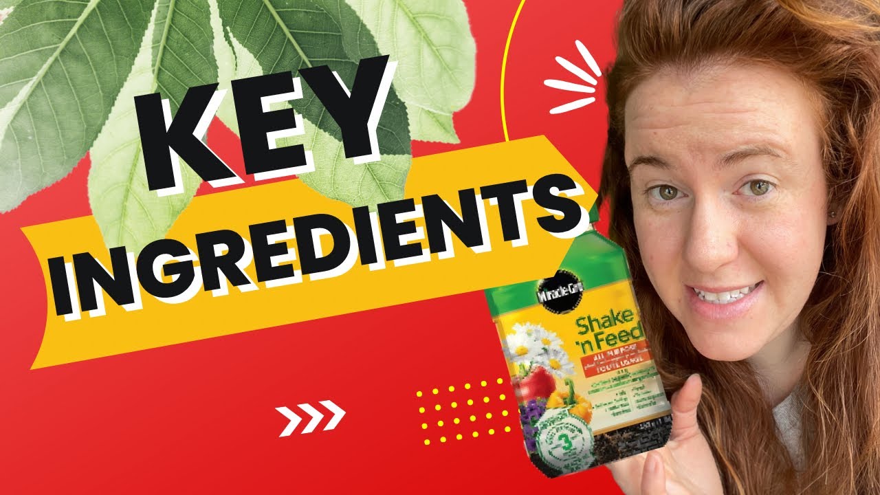 'Video thumbnail for How To Read Plant Product Labels? Determining If A Plant Product Is Worth Your Money! 🌻🌿💰'