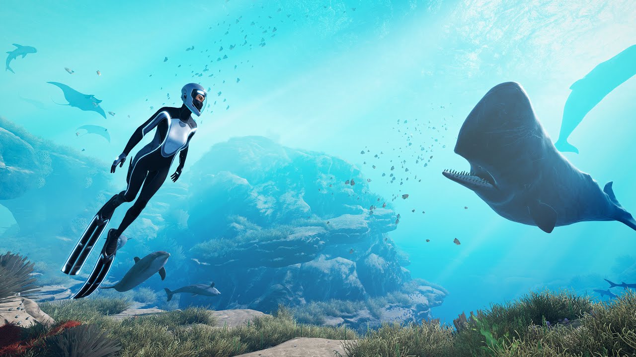 'Video thumbnail for Beyond Blue - First 15 Minutes of Gameplay'