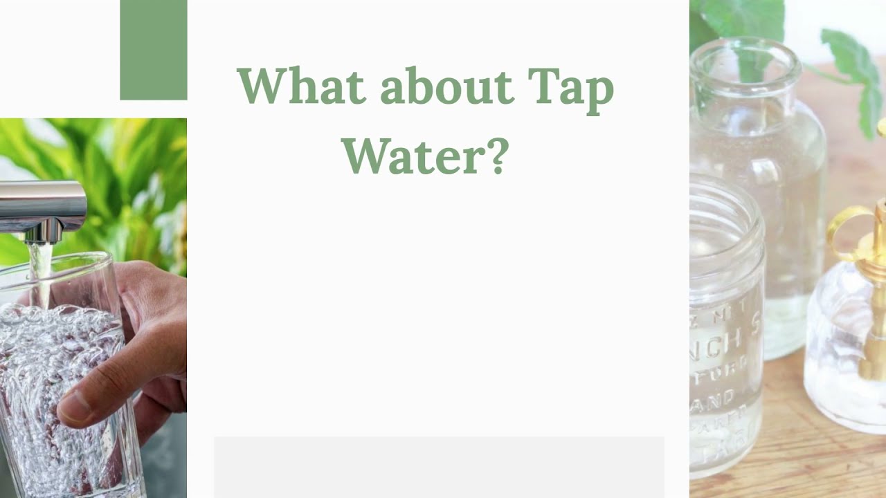 'Video thumbnail for Can You Use Tap Water to Water Your Houseplants? (2021)'
