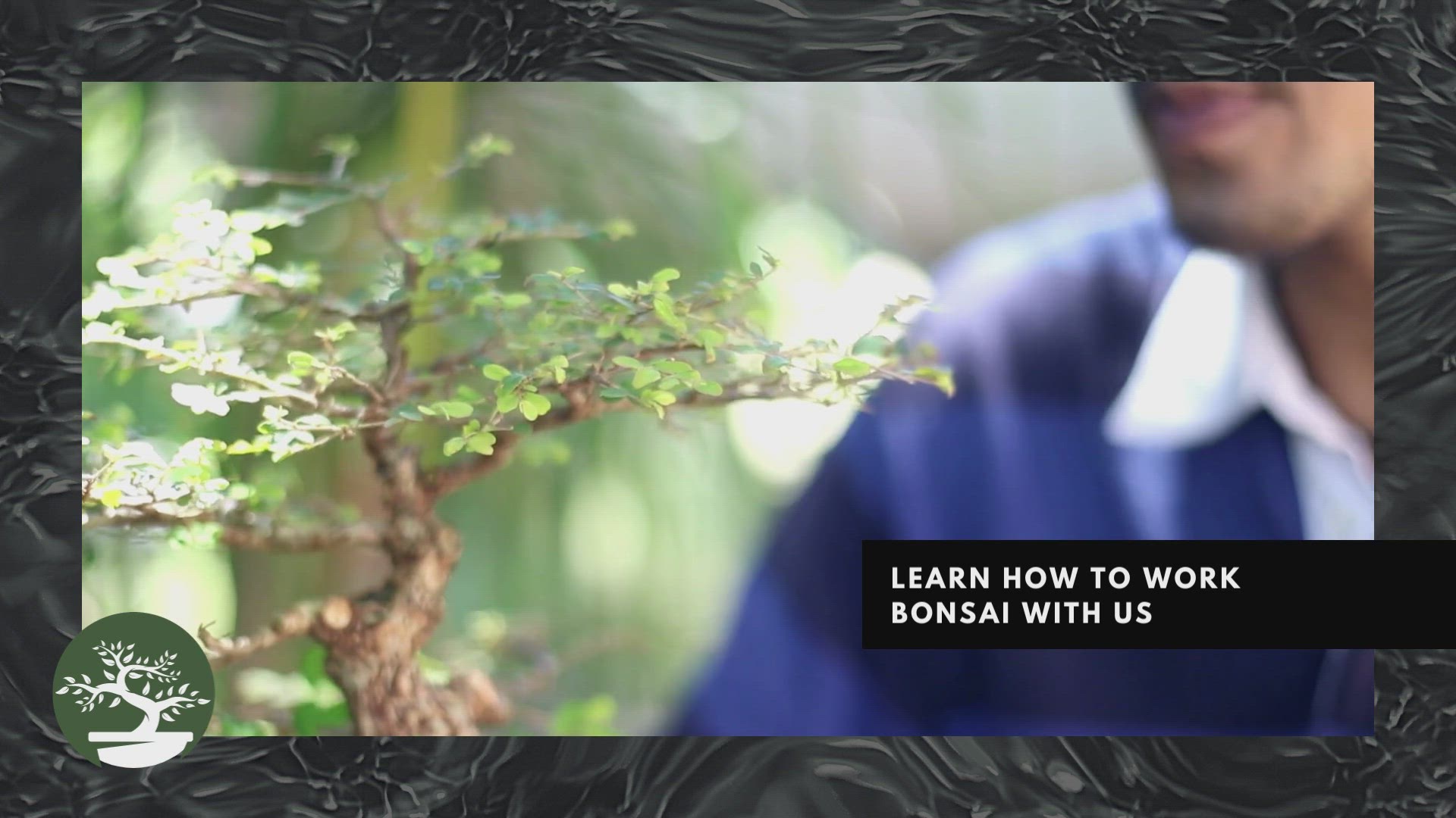 'Video thumbnail for Bonsai Hobby Is Amazing 6'