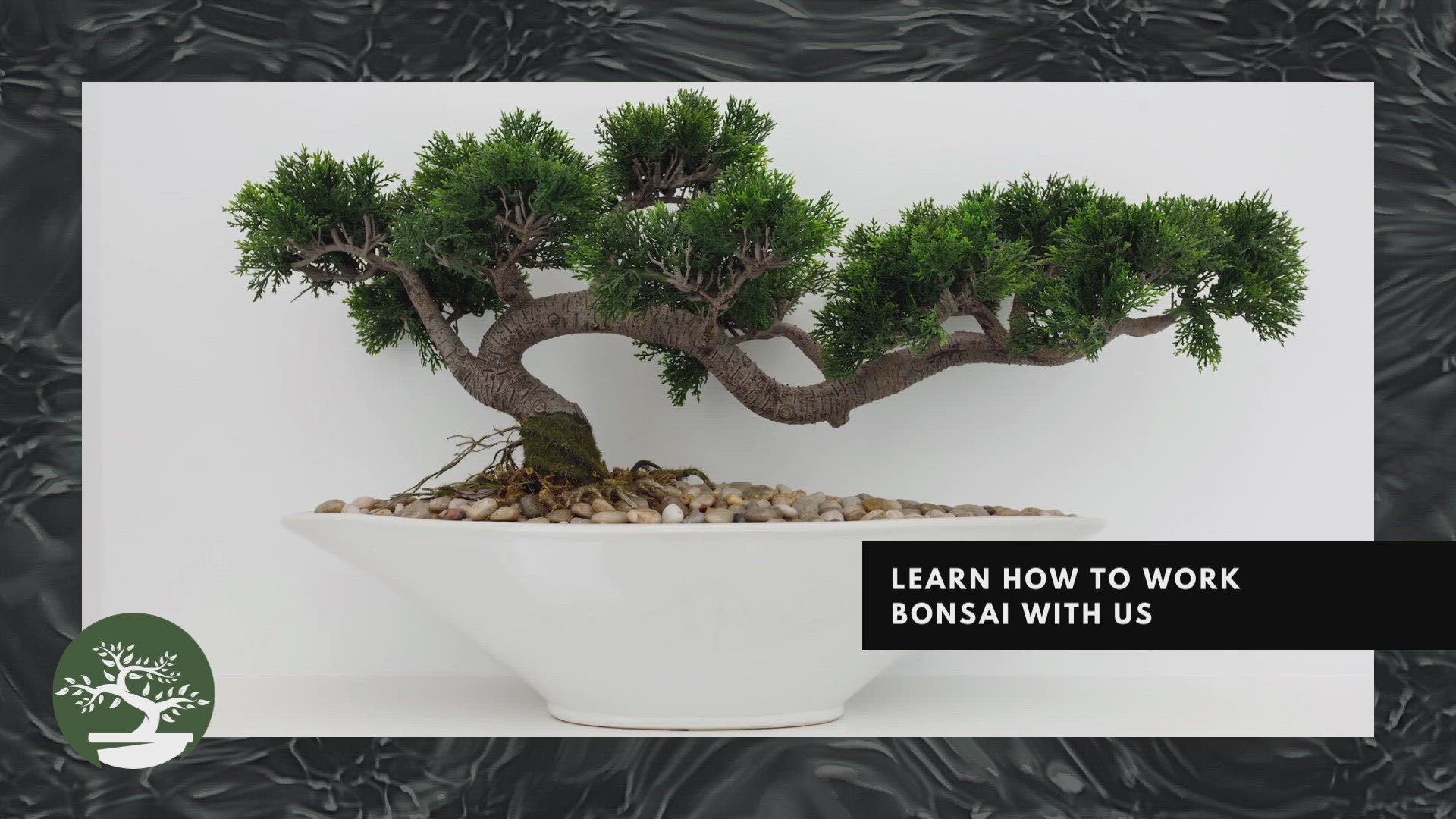 'Video thumbnail for Bonsai Hobby Is Amazing 4'