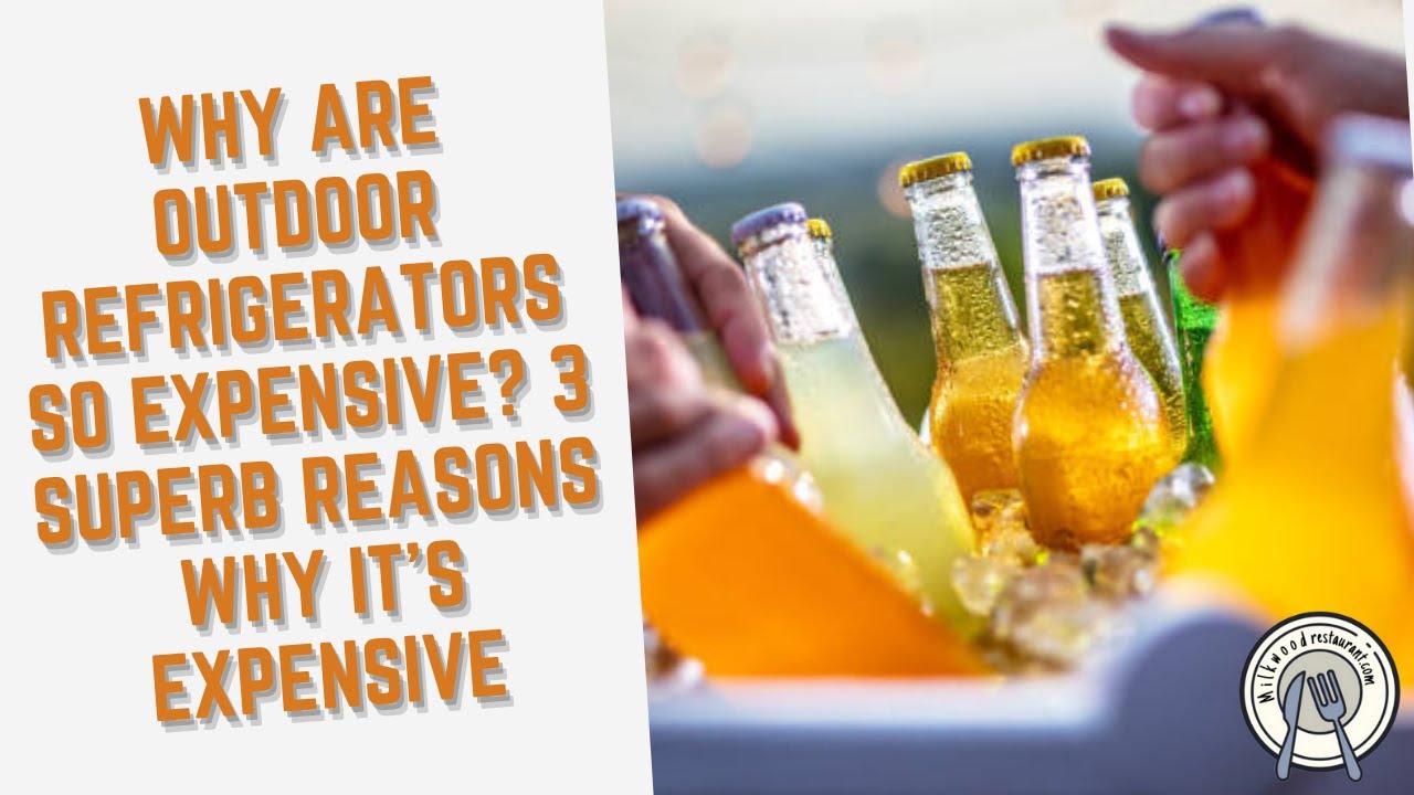 'Video thumbnail for Why Are Outdoor Refrigerators So Expensive? 3 Superb Reasons Why It’s Expensive'