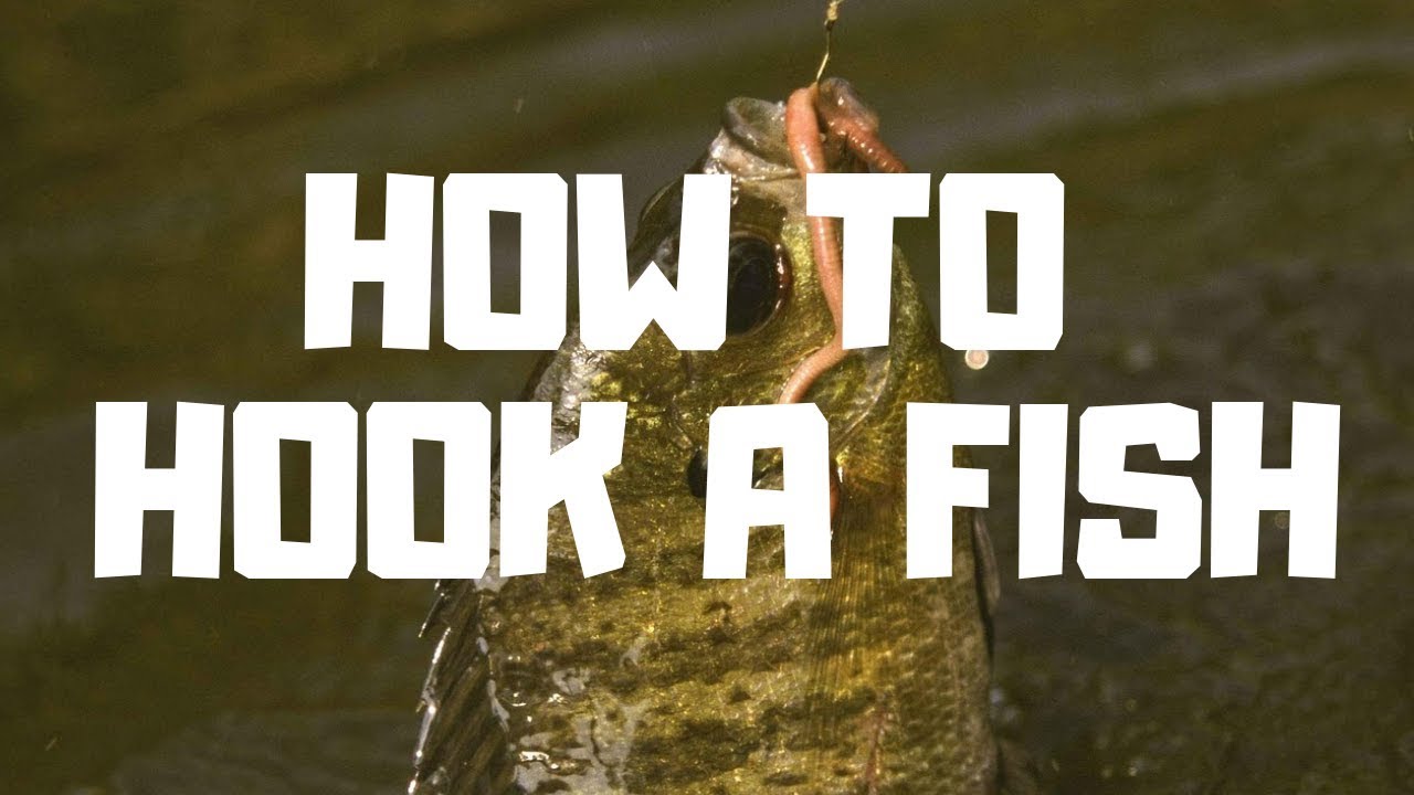 'Video thumbnail for How To Hook A Fish! - Step by Step Instructions To Help Your Properly Hook A Fish'