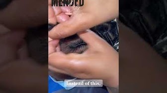 'Video thumbnail for Mended Locs Shows How to protect edges with dreadlocks #shorts #dreadlocks #dreadlockstyles'