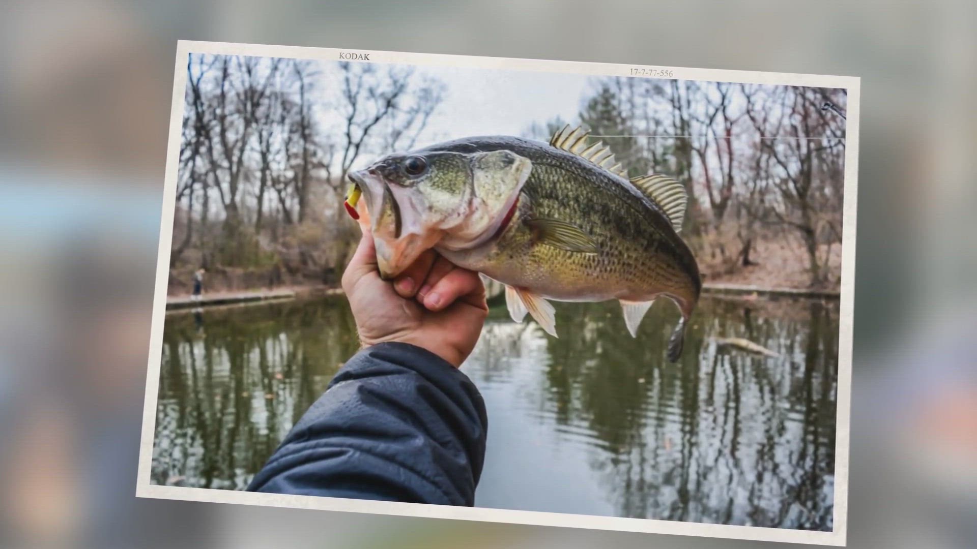 'Video thumbnail for Best Winter Pond Bass Fishing Lures: The Ultimate Guide -'