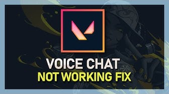 Fix voice chat csgo
