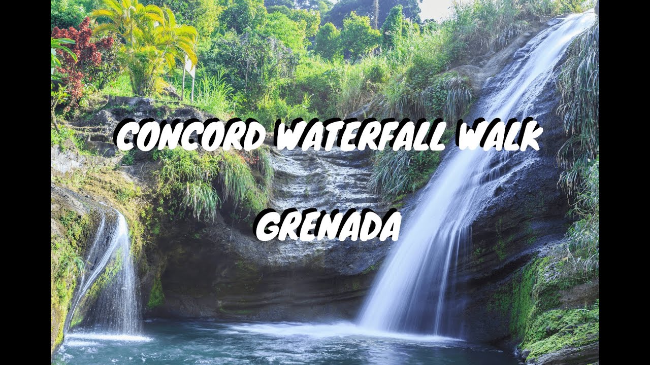'Video thumbnail for Concord Waterfall Walk in Grenada'