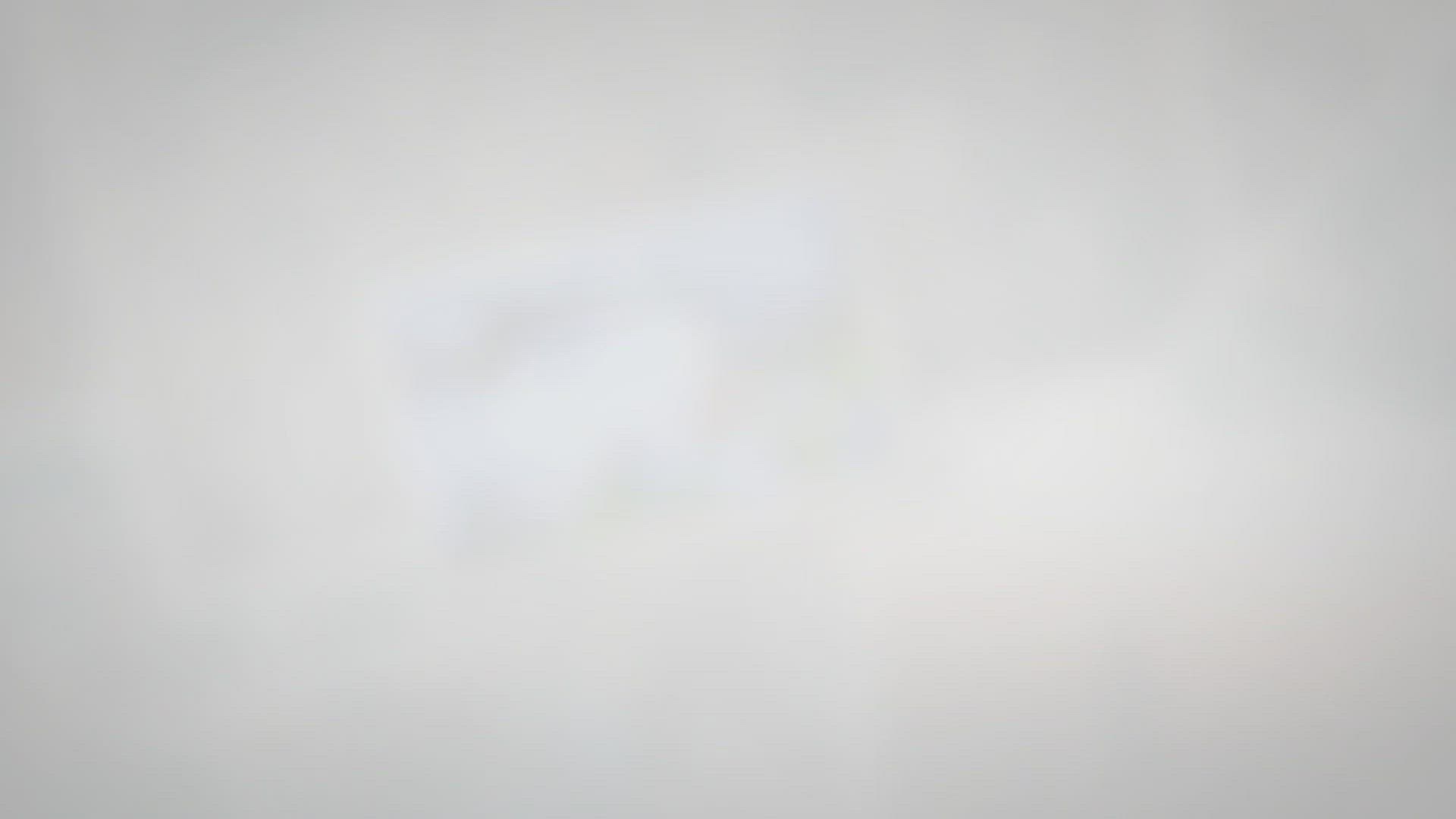 Can Bees Fly in the Rain?