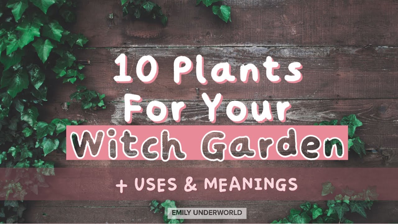 'Video thumbnail for 10 Magickal Herbs and Plants For Witch Gardens 🌿 Witchcraft For Beginners'