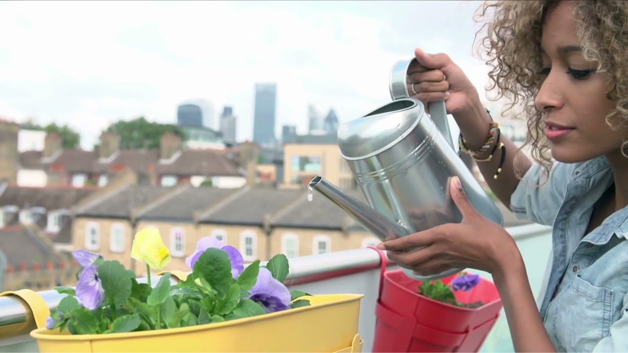 'Video thumbnail for How to Start a Vegetable Garden for Beginners'
