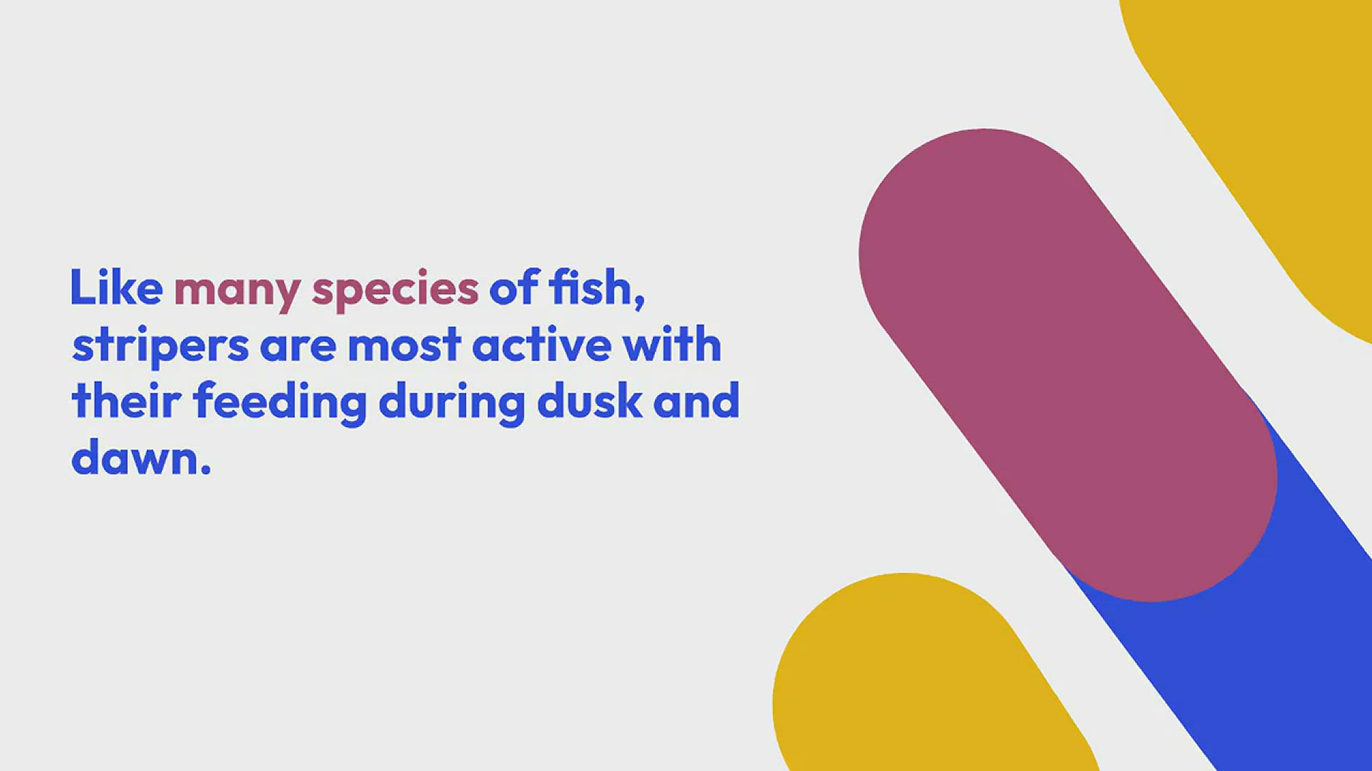 best trout lures best trout lures
