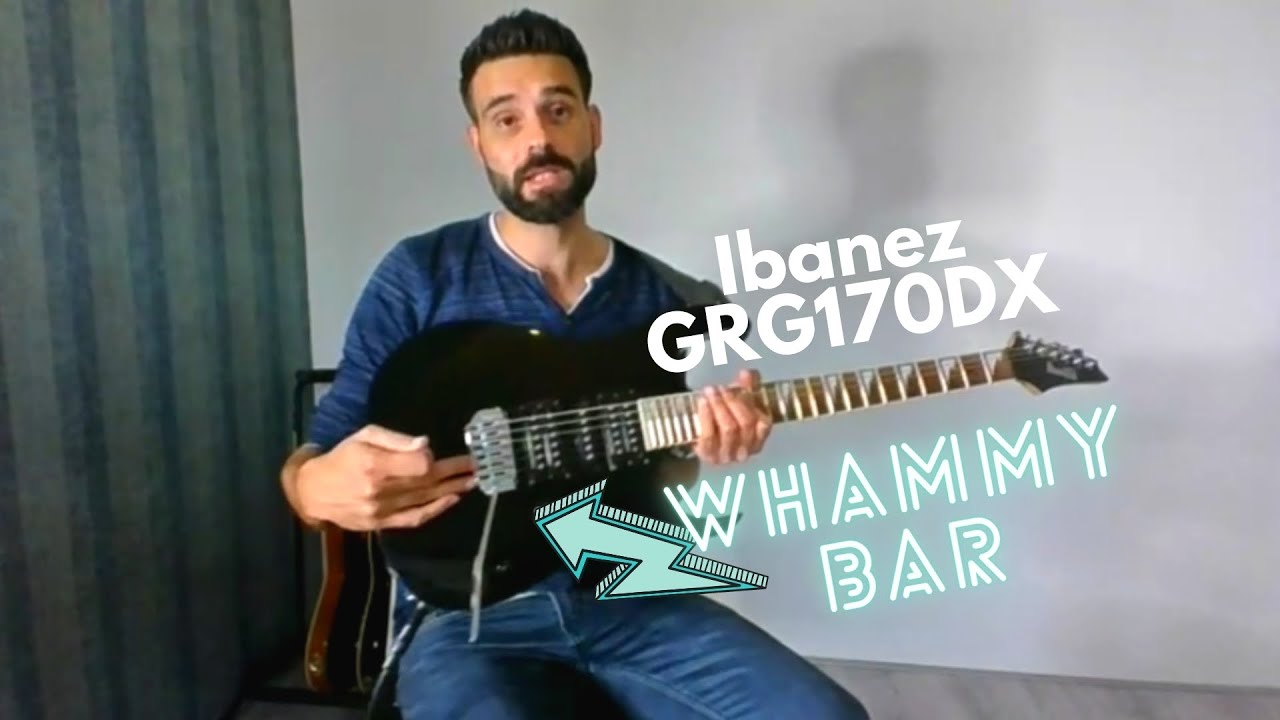 ibanez gio whammy bar