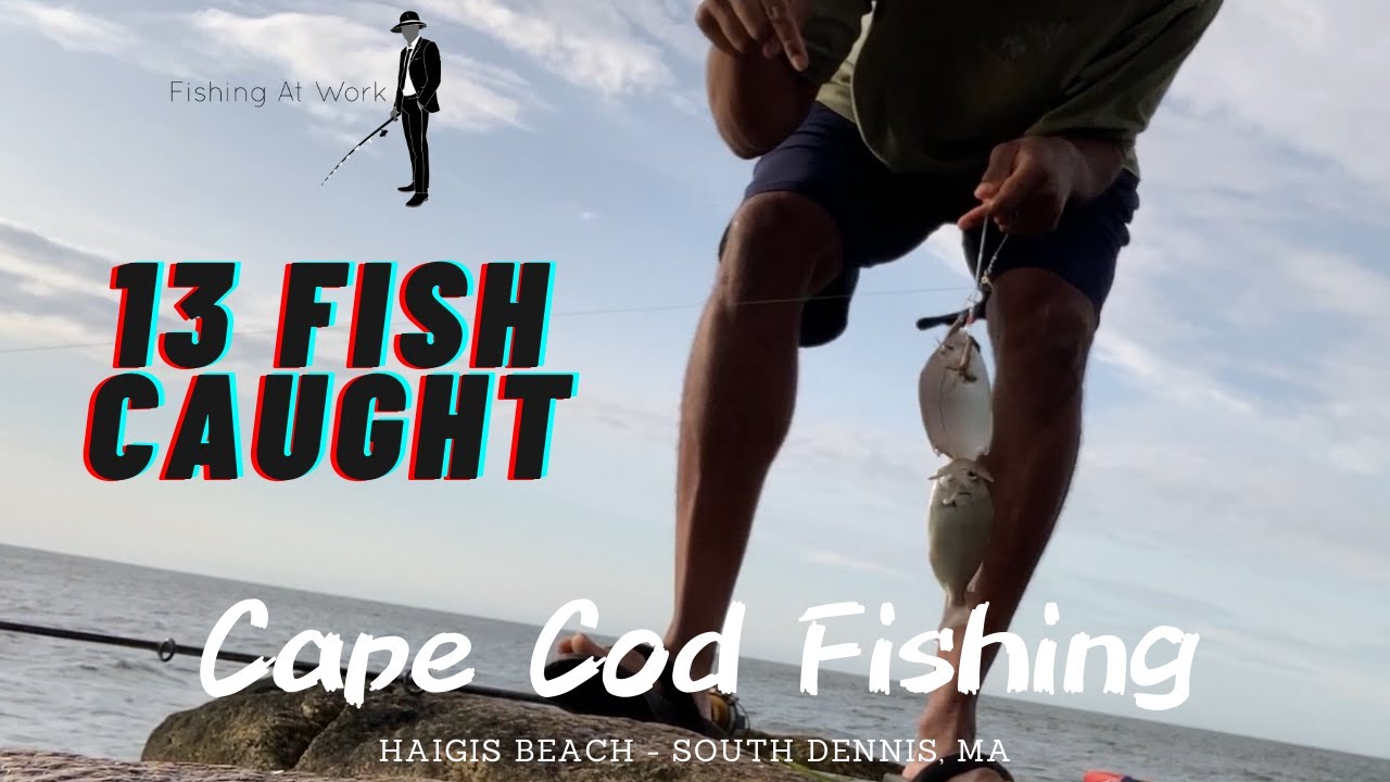 'Video thumbnail for Cape Cod Fishing - South Dennis, MA - Haigis Beach - Porgy Fishing Rig With Seaworms'