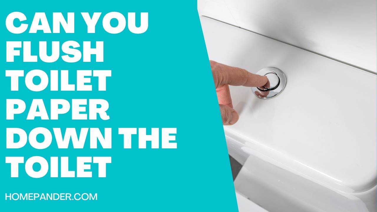 'Video thumbnail for Can You Flush Toilet Paper Down The Toilet? [Cleared All Confusion]'