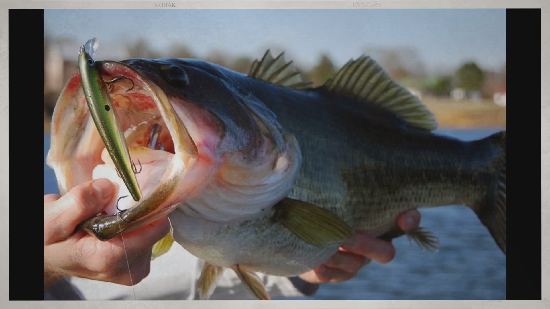 'Video thumbnail for Bass Fishing Beginner Tips [2022 Update]'