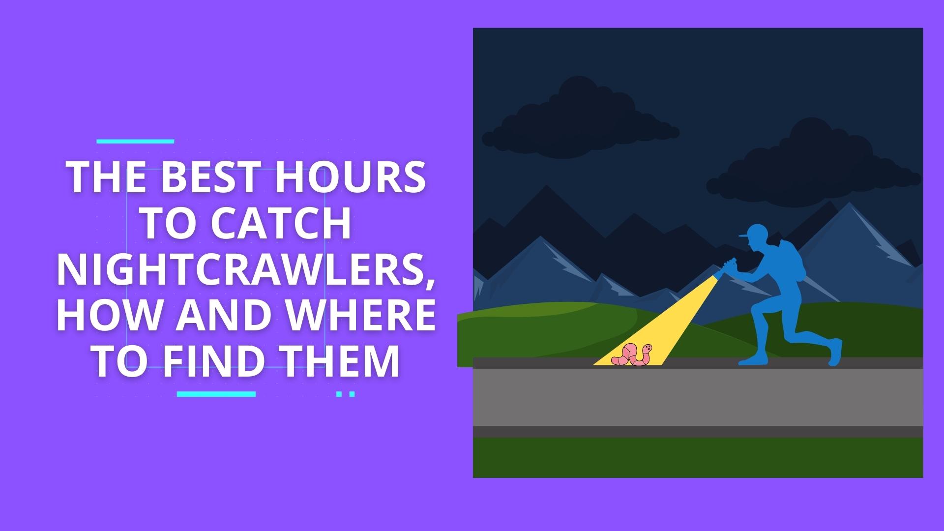 'Video thumbnail for The Best Hours to Catch Nightcrawlers, How and Where to Find Them'