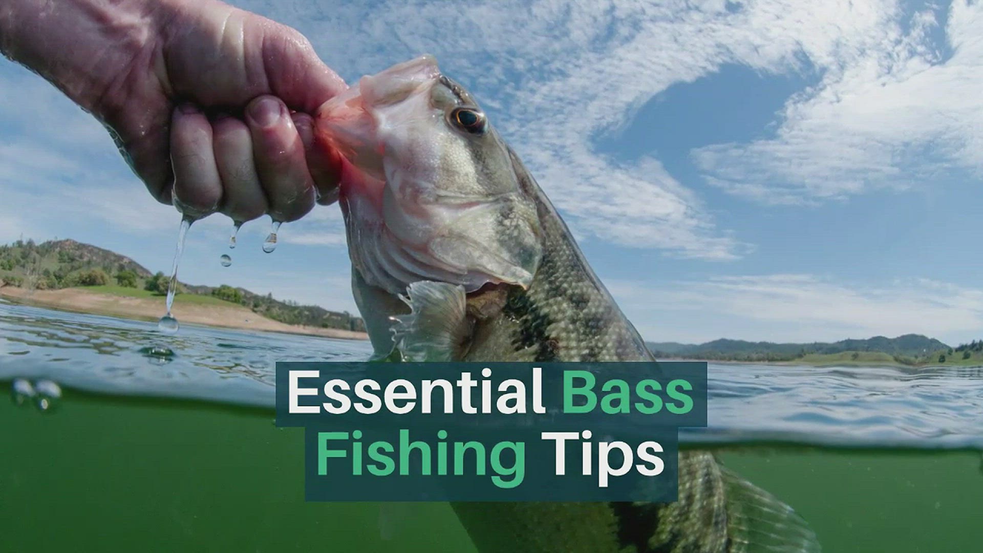 'Video thumbnail for Bass Fishing Tips'