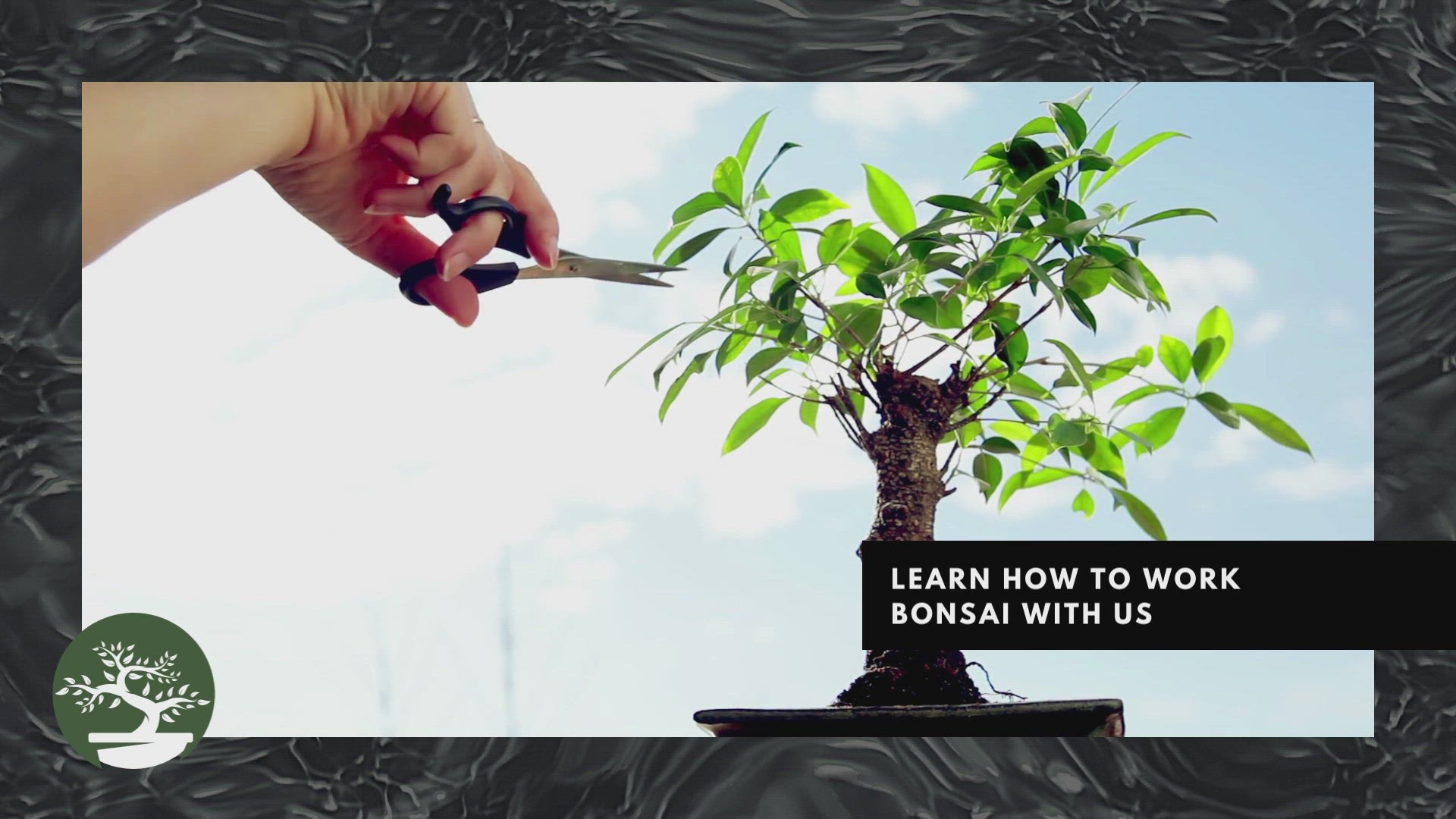 'Video thumbnail for Bonsai Hobby Is Amazing 3'